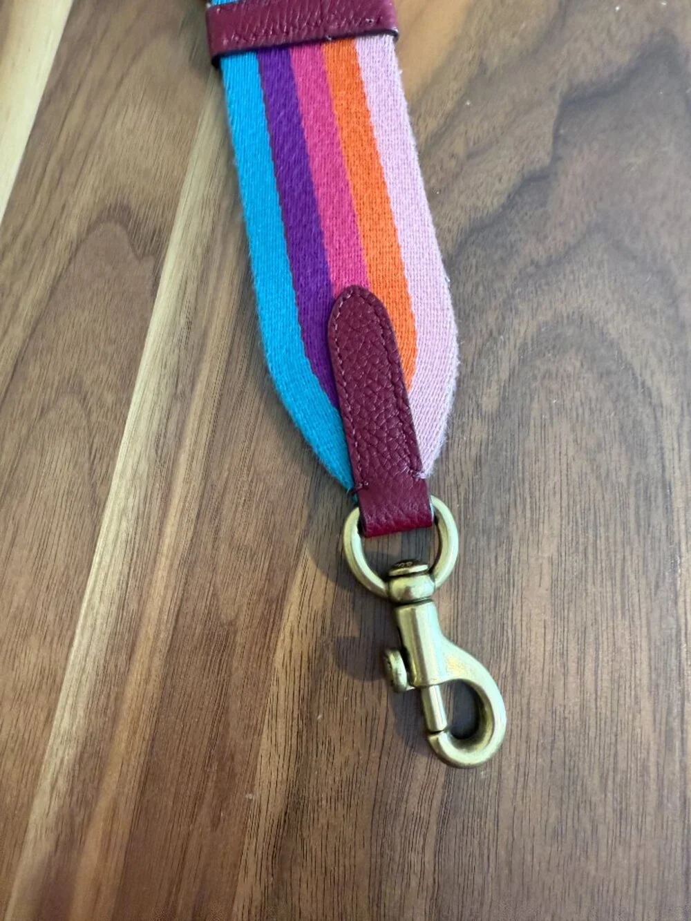 Coach Rainbow Striped Webbing Strap adjustable EUC
